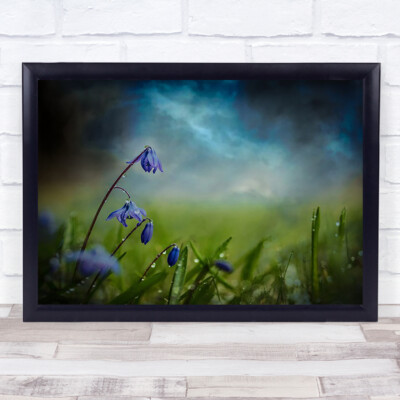 Regen Blumen Himmel Gras Wiese Garten Blume Malerisch Nass Kunstdruck