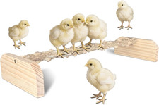 Natural Textured Wood Baby Chicken Roosting Perch - Poultry Perch Toy for Chi...