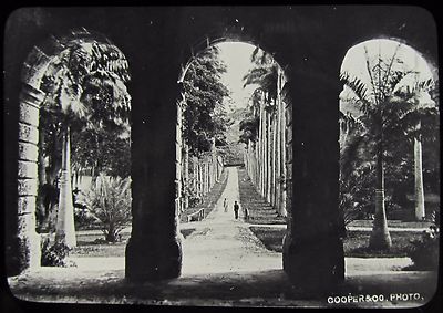 Glas magische Laterne Dia CODRINGTON COLLEGE AVENUE UM 1900 FOTO BARBADOS