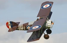 Sopwith 7-F-1 Snipe Mahogany Desktop Wood Airplane New Model Large Scale 1/24