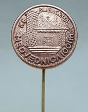 Climbing Mountaineering Club MEDVEDNICA Zagreb Croatian vintage pin KASUN 1960s