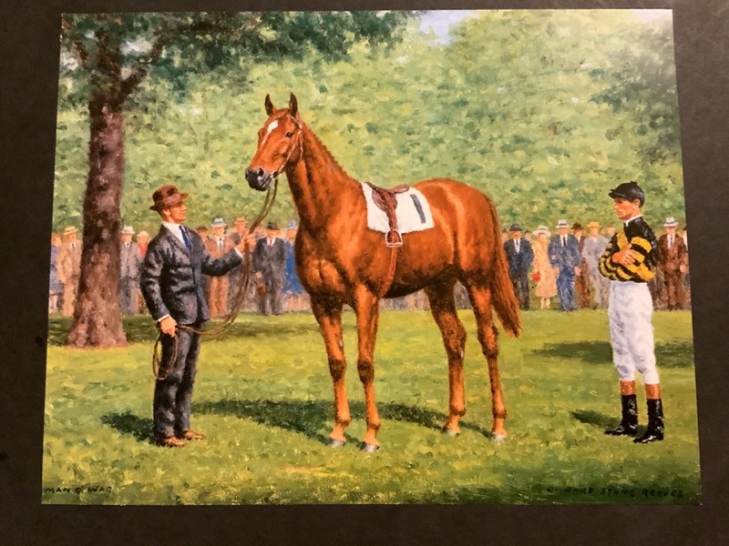MAN O’ WAR 11 x 8 photo Horse Racing CHAMPION