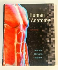 Human Anatomy 8th Edition Marieb Wilhelm Mall...