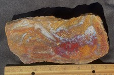 woodward-ranch-sagenitic-plume-agate-large-slab-286-grams-or-10-ozs-texas-