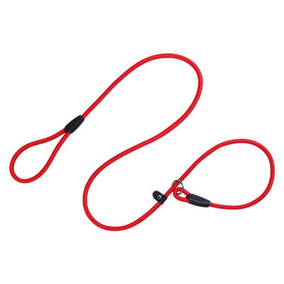 Dog Nylon Adjustable Loop Slip Rope Leash Lead Training Choke Pet
