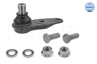 Meyle 16-160100018 Traggelenk Vorne FüR Renault Twingo II 1.2 1.5D 03.07-