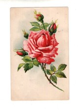 vintage-birthday-greeting-postcard-postmarked-1907-lititz-beautiful-pink-rose