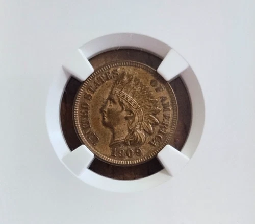 1909 Indian Head Cent 1c NGC MS64 BN