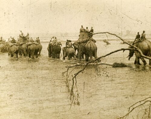 royal hunting Trek Nepal way to the hunt chasse royale elephants 1920' old photo - Photo 1/3