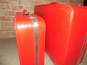 amelia earhart luggage set