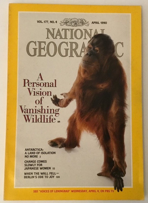 "NATIONAL GEOGRAPHIC" (BERLIN WALL & ANTARCTICA, WILDLIFE) APRIL 1990 MAGAZINE
