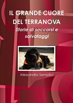 Il grande cuore del Terranova                                                  