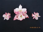 Vintage Costume Jewelry Brooch/Pin 1950's Acrylic Orchid W/Matching Earrings