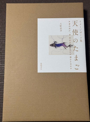 Tenshi no Tamago Angel's Egg Image Boards Artbook by Yoshitaka Amano Japan