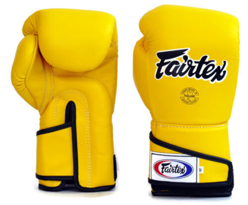 Twins Gloves Yokkao Fairtex Windy | eBay Twins Gloves Yokkao Fairtex Windy | eBay