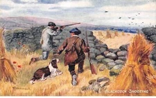Sports - No. 78129 - Hunting - Blackcock Shooting - Hunters and their dogs