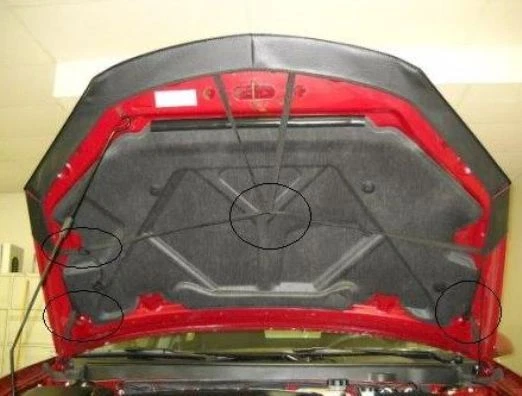 Sutiã Lebra Front End Mask Cover compatível com PONTIAC G6 2009.5-2010 - Imagem 3 de 3