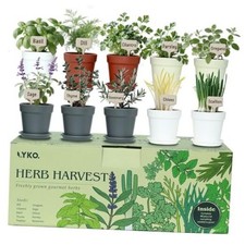 10 Indoor Herb Garden Kit, 33pcs Complete Kitchen Herb Starter Set Including 4