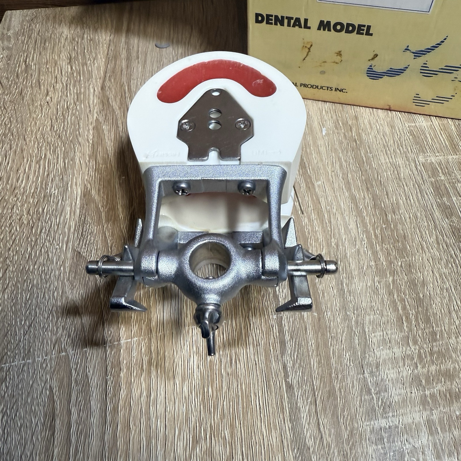 DENTAL Tooth ORTHODONTIC MODEL WITH BRACKETS & WIRE KILGORE NISSIN D1DP-UMI.5