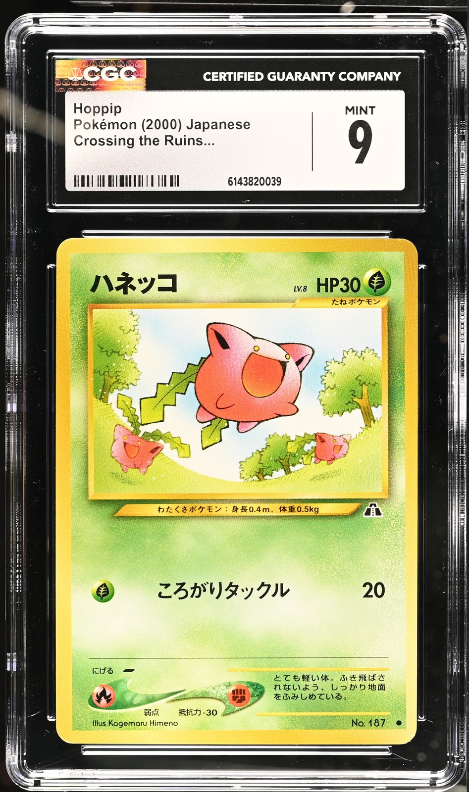 2000 Crossing the Ruins... Pokemon Hoppip CGC 9