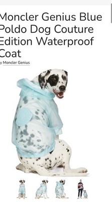 Moncler X Poldo Dog Couture Sz 3 White/Blue- Paris Runway Show | eBay