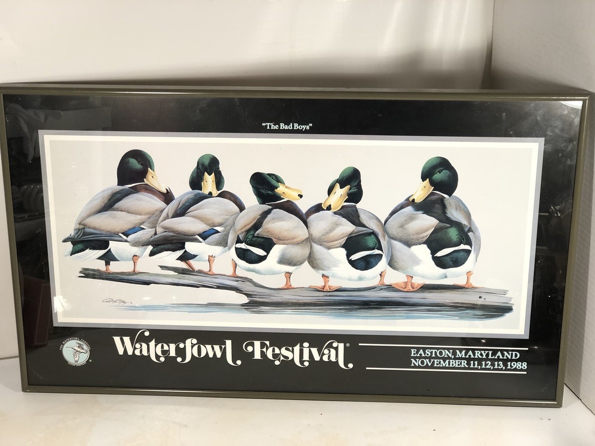 1988 Waterfowl Festival Art Lamay Mallard The Bad Boys Poster | eBay