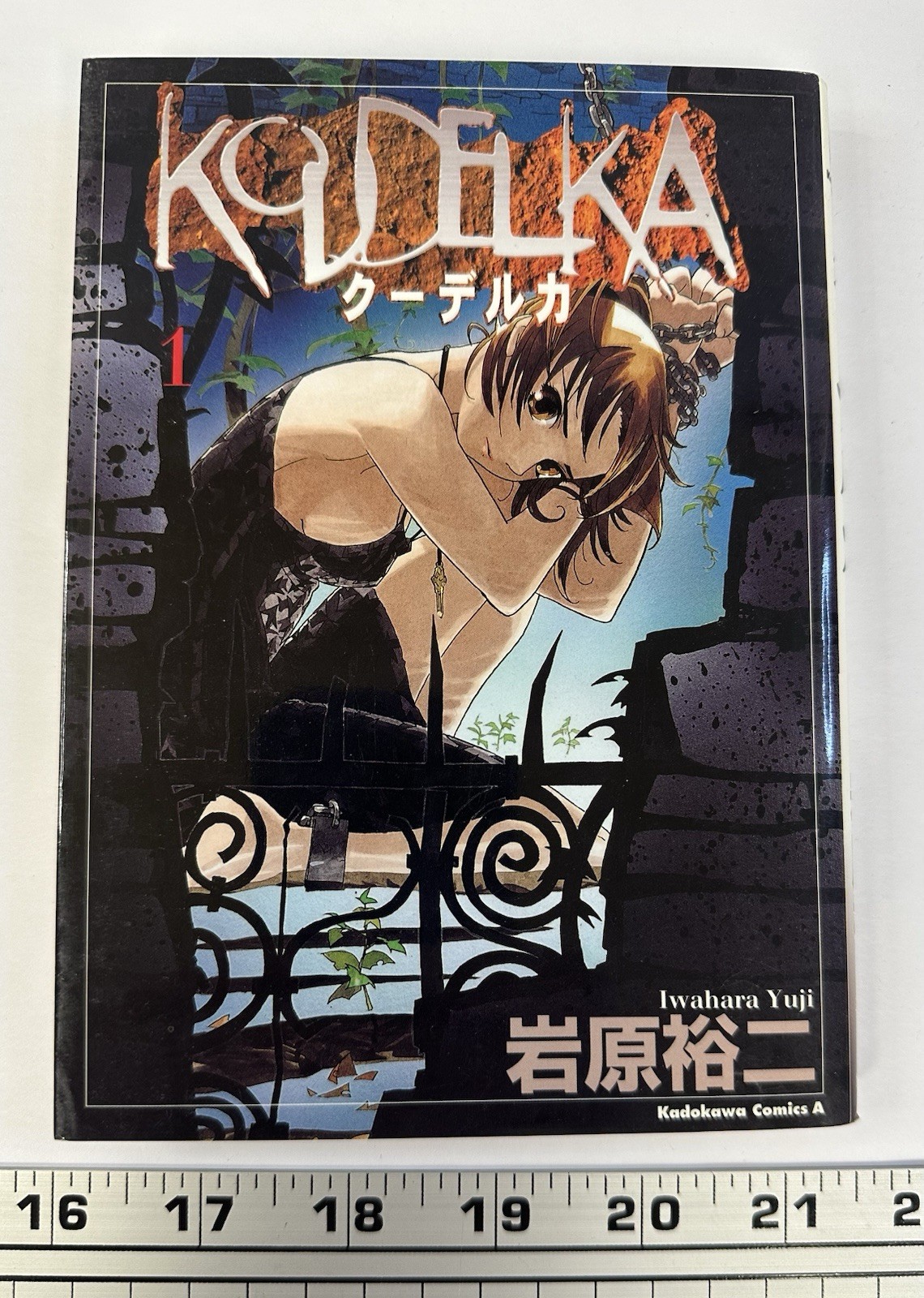 Koudelka (1) (Kadokawa Comic Su Ace) book form JP