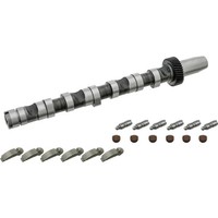 Febi Bilstein 29920 Nockenwellensatz FüR Audi VW Skoda A6 C5 A4 B6 A4 B5 A8 D2