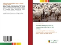 Ramom Pereira Vale | Anestesia Raquidiana No EspaçO Lombo - Sacro De Ovinos