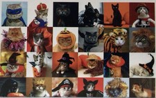 HALLOWEEN CATS seesaw 1000 Pc Jigsaw Puzzle Cats in Costumes Hats