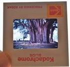 1981 35mm (7) SLIDES OF MEXICO — photo 4