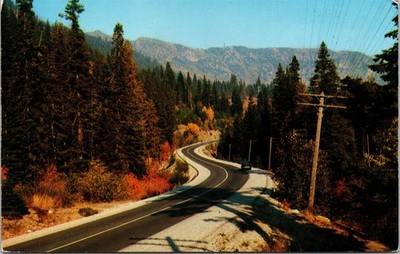 Autumn On Stevens Pass Cascade Mountains Washington WA c1956 Postcard