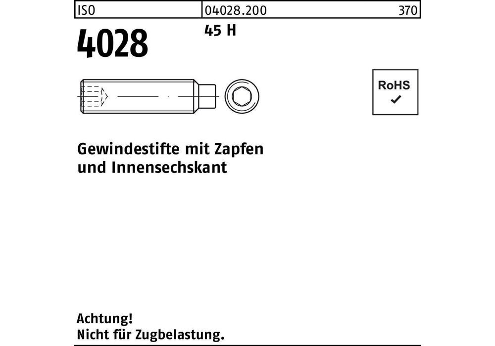 Рейхерный подъемник ISO 4028 Zapfen/Innensechskant M 20 x 60 45 H