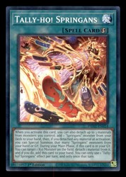 Tally-ho! Springans PHHY-EN054 Photon Hypernova 1st Edition Common