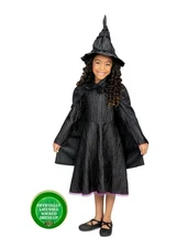 Universal's Wicked  Elphaba Black Dress, Accessories Girl Halloween Costume 4-6 
