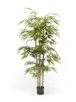 Artplants KüNstlicher Bambus Tamane, NaturstäMme, 150Cm