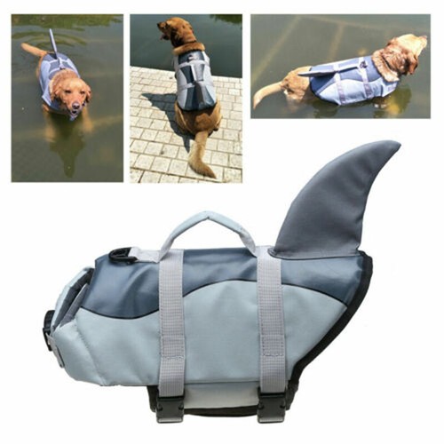 Shark Life Jacket Dog Buoyancy Aid Pet Swimming Boating Safety Vest Flotation AU - Picture 3 of 11