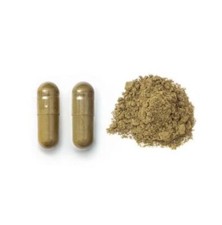 Tulsi Capsules Holy Basil Ocimum Sanctum Organic Ursolic Acid Stress relief