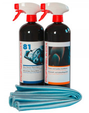 SET-ANGEBOT GLASREINIGUNG UND KUNSTSTOFFPFLEGE, PORZELACK