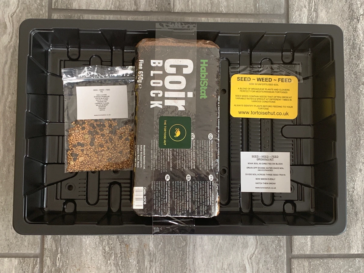 The Tortoise Hut seed growing kit Seeds Trays Soil