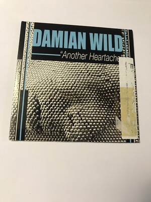 Damian Wild    Another Heartache CD 2005 Electronic Single