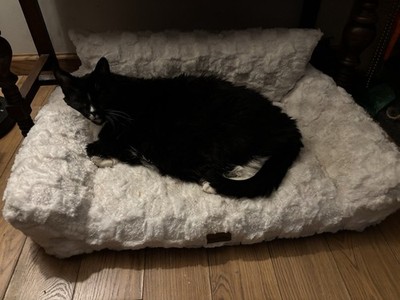 Made4Pets Cozy Pet Sofa, Medium, New, White, *17 Lb Kitty Not Included