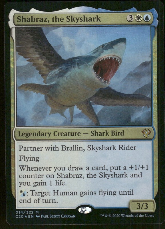 1x Foil Shabraz, the Skyshark - Commander 2020  NM - MTG