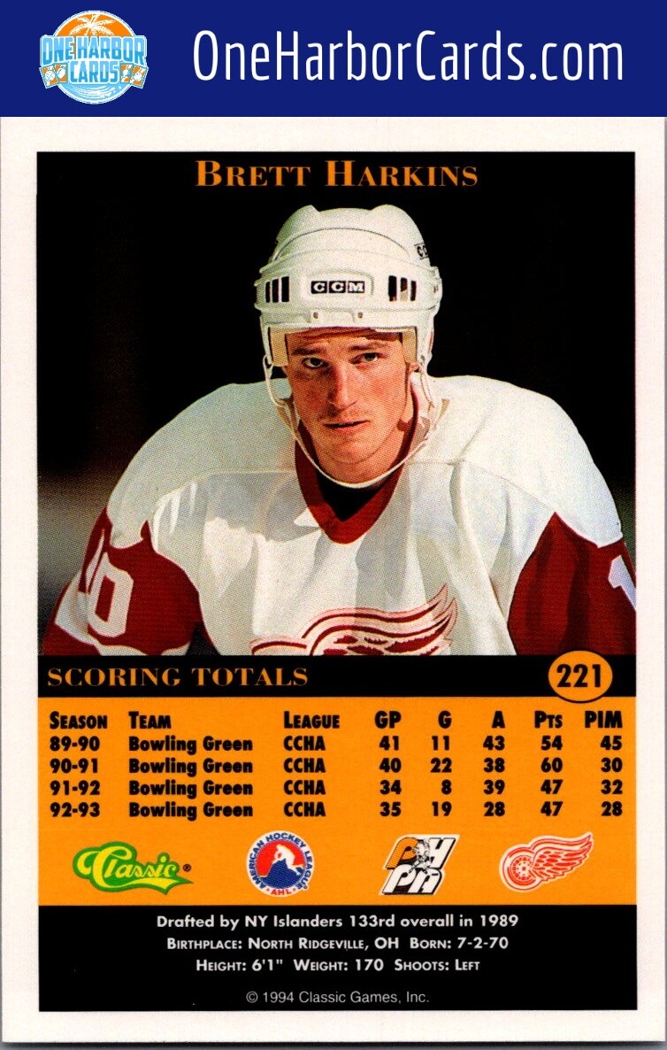1994 Classic Pro Prospects Adirondack Red Wings Hockey Card #221