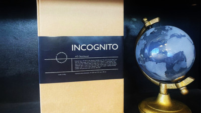 Incognito (Sketch Pad) by Michael Dawson Magic Mentalism Effect / Accessory.