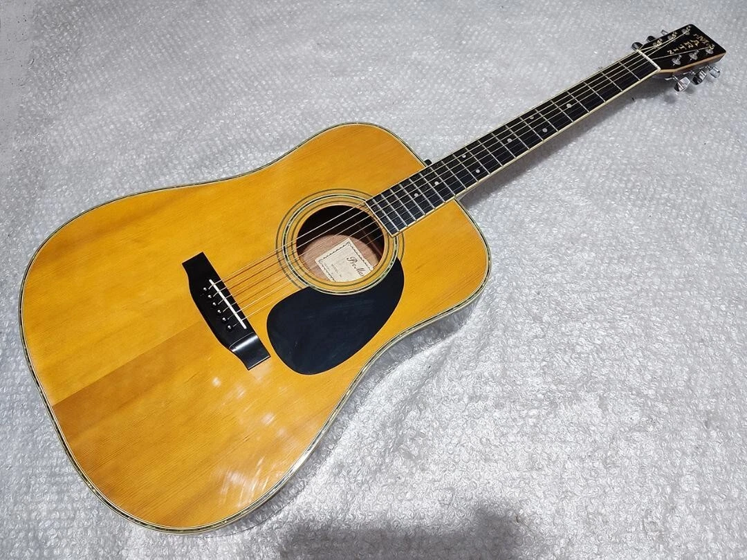 Pro Martin W250E Vertical Logo Made in Japan Acoustic Electronic Guitar