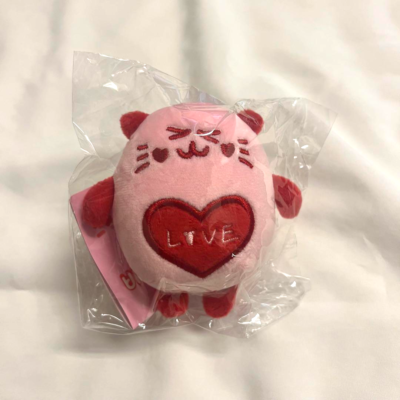 ASTRO Popup Official ROROHA Plush Doll NYANNYA strap Moon Bin