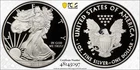 2013 W American Silver Eagle - Proof - Ultraviolet Eagle Label - PR69