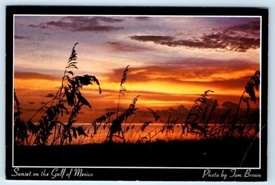 Sunset on the Gulf of Mexico - Jom Brown 4x6 Postcard