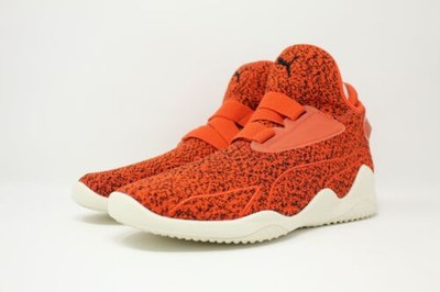 puma mostro sirsa elemental